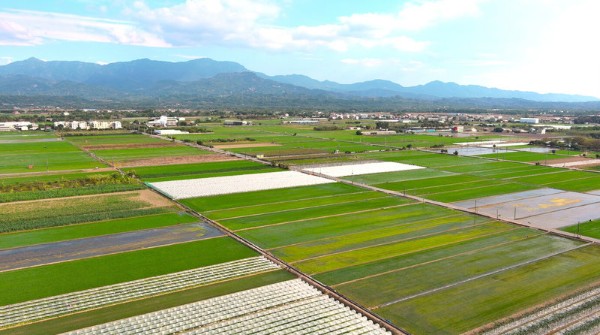 【農地傳承給下一代可以免稅？】🧑‍🌾一篇看懂贈與、遺產、土增稅與所得稅免稅關鍵！